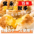 画像3: 宝永チーズ20セット【送料込】 (3)