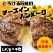 画像1: とろける5種類のチーズインハンバーグ【130g×4枚】 (1)