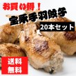 画像1: 宝永手羽餃子【20本 セット】【送料無料】 (1)