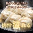 画像2: 宝永餃子（スタンダード）10個入 (2)