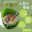 画像4: 【販売再開】宝永しそ餃子（20個入） (4)