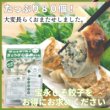 画像5: 宝永しそ餃子【80個セット】【送料無料】 (5)