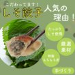 画像4: 宝永しそ餃子【80個セット】【送料無料】 (4)