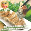 画像5: 宝永餃子全種Bセット【送料込】 (5)