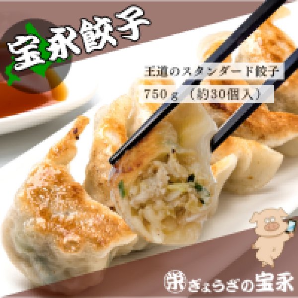 画像1: 宝永にら餃子 スタンダード 750g  (約30個入） (1)