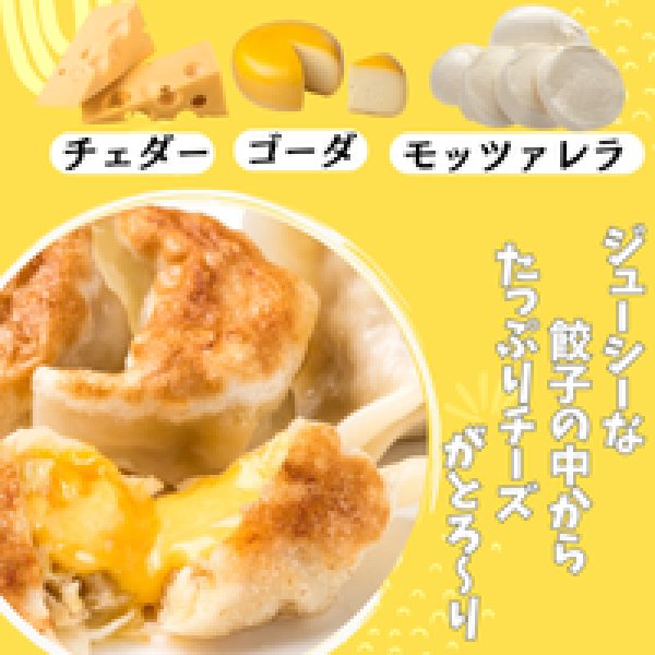 画像7: 宝永チーズBセット 【送料込】 (7)
