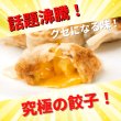 画像10: 宝永チーズ餃子 (15個入）
