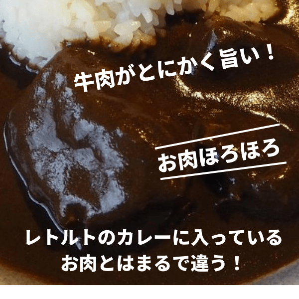 画像3: 【お肉ほろほろ】北海道黒カレー